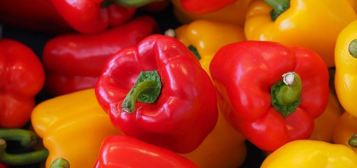 Read more about the article פלפלים צהובים – סיור חקלאי בערבה